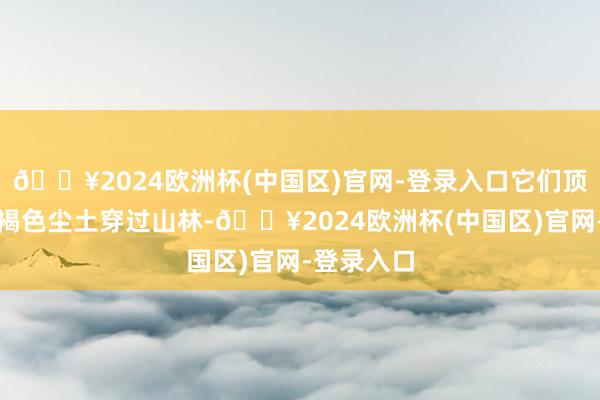 🔥2024欧洲杯(中国区)官网-登录入口它们顶着漫天的褐色尘土穿过山林-🔥2024欧洲杯(中国区)官网-登录入口