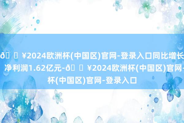 🔥2024欧洲杯(中国区)官网-登录入口同比增长17.57%；净利润1.62亿元-🔥2024欧洲杯(中国区)官网-登录入口